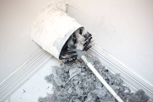 Best Emergency Air Duct Cleaning  in Shougal, WA