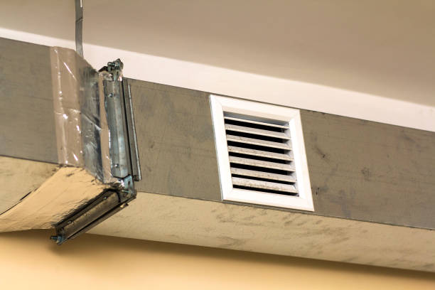 Best Professional Duct Cleaning Services  in Shougal, WA
